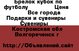 Брелок кубок по футболу Fifa 2018 › Цена ­ 399 - Все города Подарки и сувениры » Сувениры   . Костромская обл.,Волгореченск г.